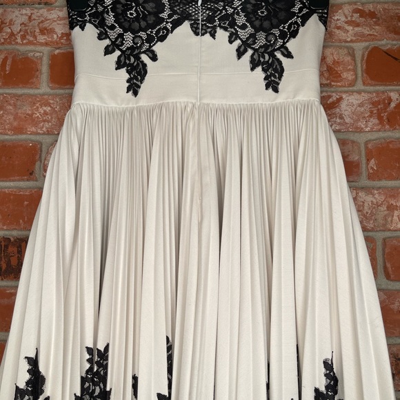 Robert Rodriguez Strapless Lace Appliqué Dress - Picture 7 of 8